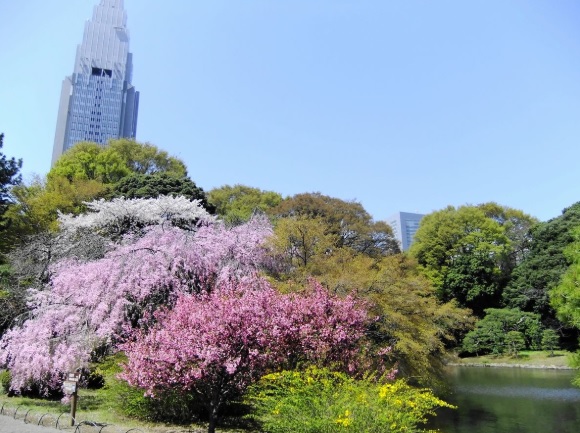 Tokyo Japanese Garden Lover's Private Tour With